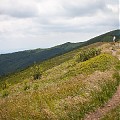 Bieszczady